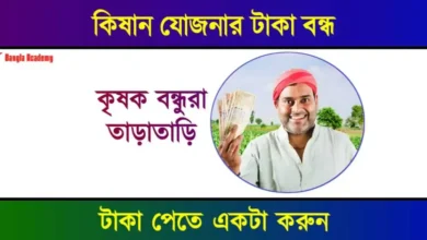 কিষাণ সম্মান নিধি যোজনা (PM Kisan Yojana)