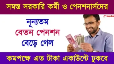 Minimum Pension for government employees