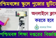 অনলাইন ক্লাস (Online Classes)